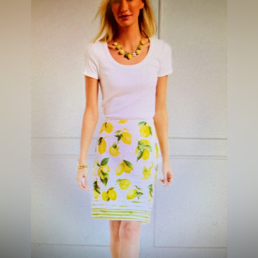 TALBOTS CANVAS A LINE SKIRT IN LUSCIOUS LEMONS SIZE 8 NWT! - Picture 2 of 5